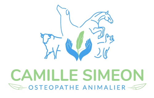 Camille Simeon